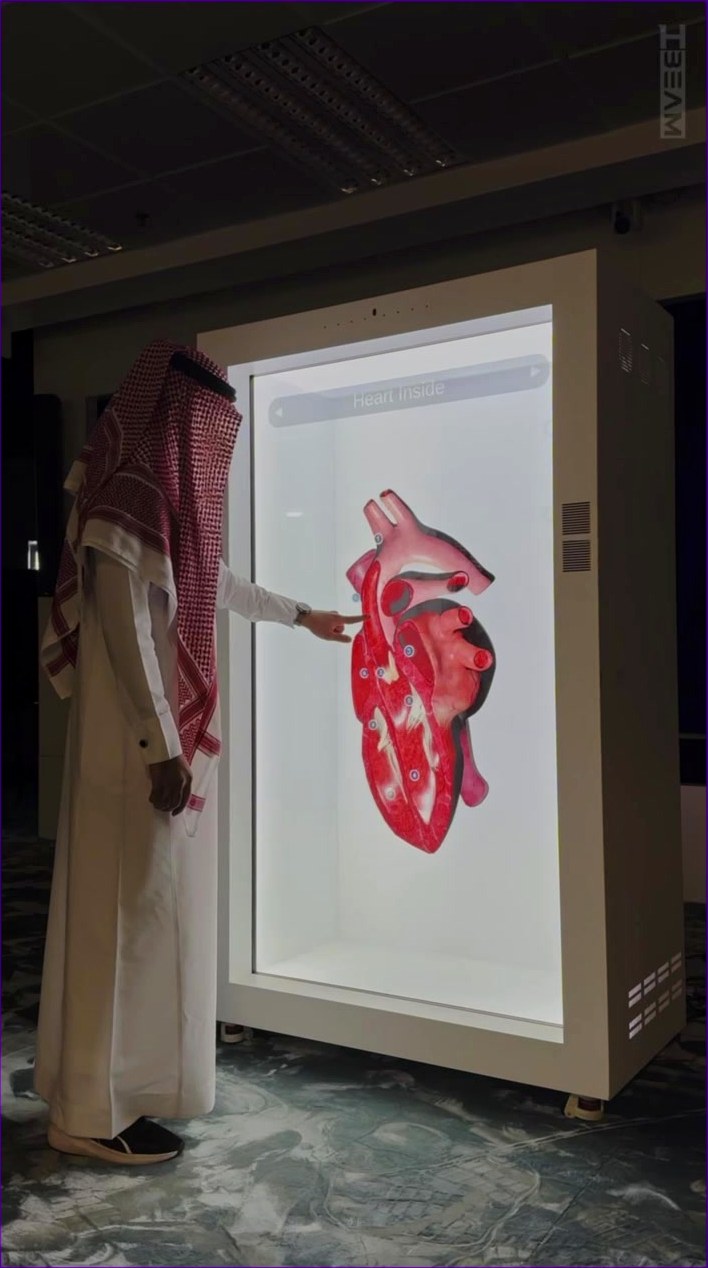 نموذج طبي تفاعلي داخل وحدة عرض Hbeam